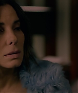2019-BirdBox-0353.jpg