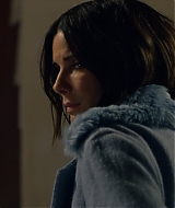 2019-BirdBox-0356.jpg