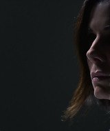2019-BirdBox-0374.jpg