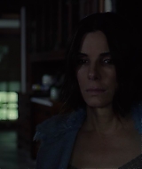 2019-BirdBox-0375.jpg
