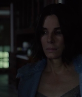 2019-BirdBox-0377.jpg