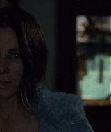 2019-BirdBox-0379.jpg