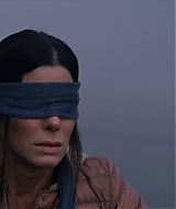 2019-BirdBox-0394.jpg
