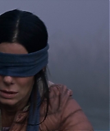 2019-BirdBox-0398.jpg