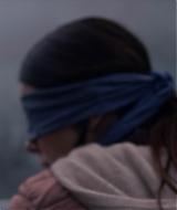 2019-BirdBox-0403.jpg