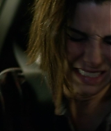 2019-BirdBox-0449.jpg