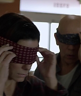 2019-BirdBox-0464.jpg