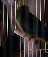 2019-BirdBox-0510.jpg