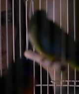 2019-BirdBox-0511.jpg
