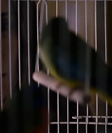 2019-BirdBox-0512.jpg