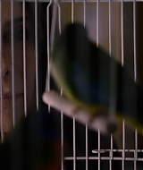 2019-BirdBox-0513.jpg