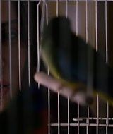 2019-BirdBox-0514.jpg