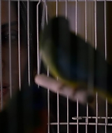 2019-BirdBox-0515.jpg
