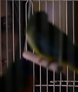 2019-BirdBox-0516.jpg