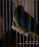 2019-BirdBox-0517.jpg