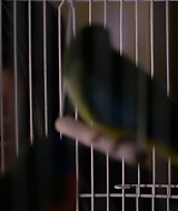 2019-BirdBox-0518.jpg