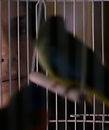 2019-BirdBox-0520.jpg