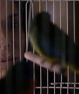 2019-BirdBox-0521.jpg