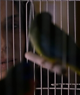 2019-BirdBox-0522.jpg