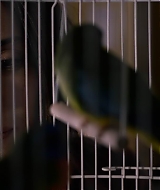 2019-BirdBox-0523.jpg