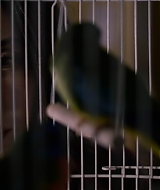 2019-BirdBox-0524.jpg