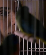 2019-BirdBox-0525.jpg