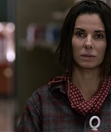 2019-BirdBox-0536.jpg