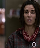 2019-BirdBox-0539.jpg