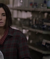 2019-BirdBox-0542.jpg