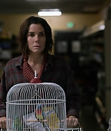 2019-BirdBox-0543.jpg