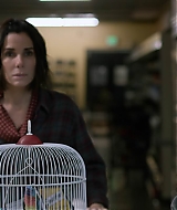 2019-BirdBox-0544.jpg