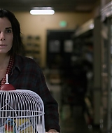 2019-BirdBox-0545.jpg