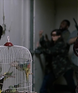 2019-BirdBox-0549.jpg
