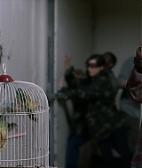 2019-BirdBox-0550.jpg