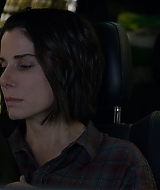 2019-BirdBox-0558.jpg