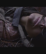 SBO-BirdBox_002.jpg