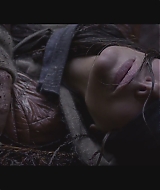 SBO-BirdBox_003.jpg