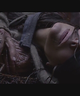 SBO-BirdBox_004.jpg