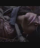 SBO-BirdBox_005.jpg