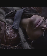 SBO-BirdBox_006.jpg