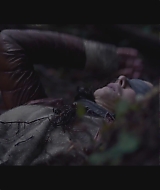 SBO-BirdBox_007.jpg