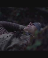 SBO-BirdBox_008.jpg