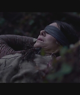 SBO-BirdBox_009.jpg