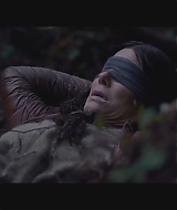 SBO-BirdBox_010.jpg