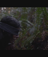 SBO-BirdBox_013.jpg