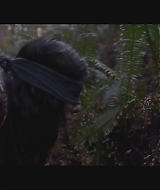 SBO-BirdBox_014.jpg