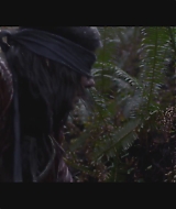 SBO-BirdBox_015.jpg