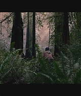 SBO-BirdBox_016.jpg