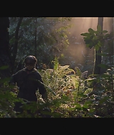 SBO-BirdBox_018.jpg