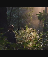 SBO-BirdBox_019.jpg